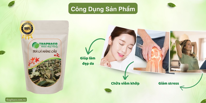 Lá mãng cầu xiêm – lựa chọn thảo dược hỗ trợ chức năng gan