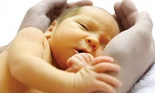 Dược thảo tự nhiên hỗ trợ điều trị viêm gan ở trẻ nhỏ