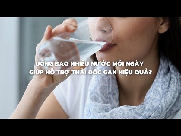 Uống nước phòng ngừa nóng gan với thảo dược thiên nhiên