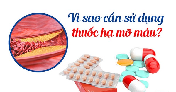Cân nhắc giữa thuốc và giải pháp tự nhiên trị mỡ máu