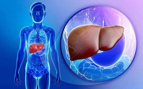 Cảnh báo rủi ro khi ăn hải sản cho người bị viêm gan C
