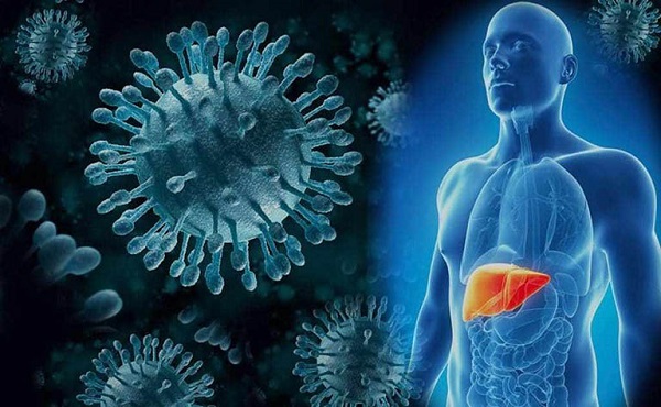 Kết hợp điều trị hiện đại và tự nhiên giúp kiểm soát viêm gan tối ưu