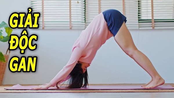 Yoga tăng cường chức năng gan
