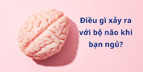 Giấc ngủ và trí nhớ