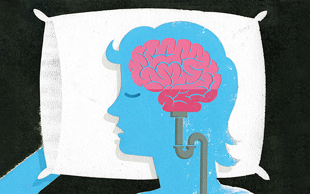 Giai đoạn giấc ngủ và trí nhớ