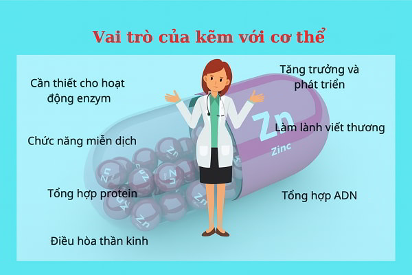 Dấu hiệu thiếu hụt kẽm và tác động sức khỏe