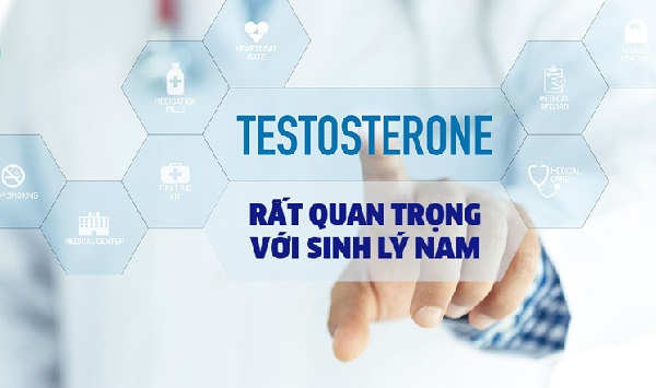 Testosterone ngoại sinh và sinh lý nam