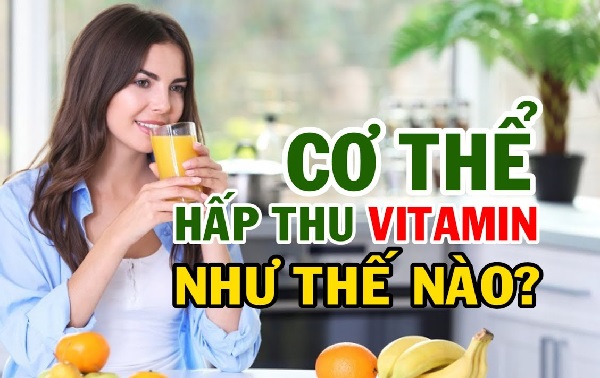 So sánh khả năng hấp thu vitamin A giữa thực vật và động vật