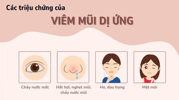Các phương pháp hỗ trợ điều trị viêm mũi dị ứng