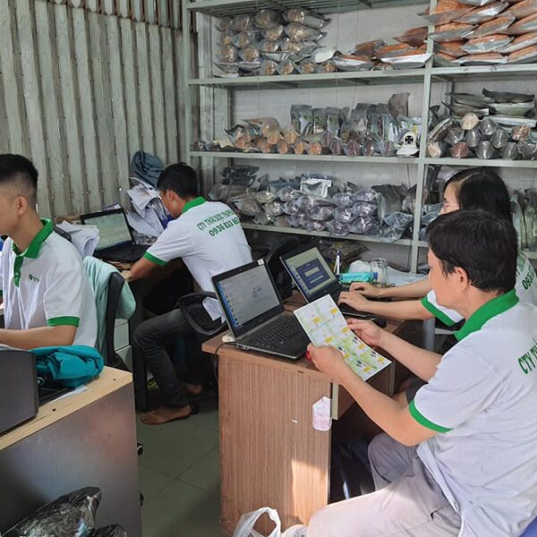 Uống thuốc bắc trị sỏi mật cần cẩn trọng an toàn