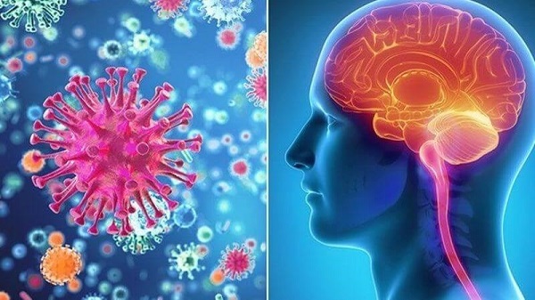 Giải pháp tăng cường trí nhớ sau covid