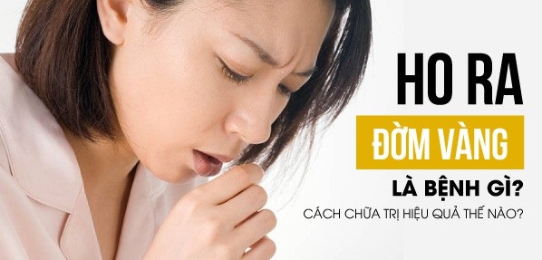 Cơ chế hình thành đờm màu từ phổi