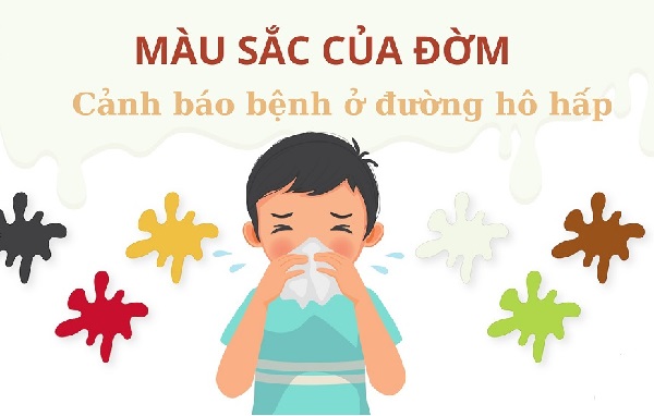 Giải pháp thảo dược hỗ trợ sức khỏe phổi Tấn Phát