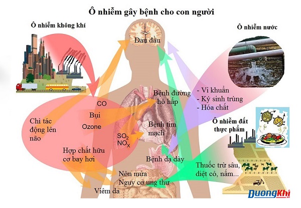Môi trường ô nhiễm và tác động lên sức khỏe phổi