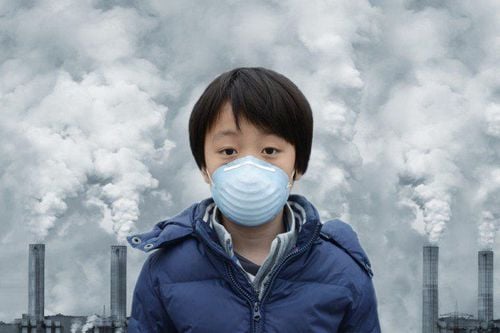 Minh họa hậu quả của ô nhiễm đối với lá phổi