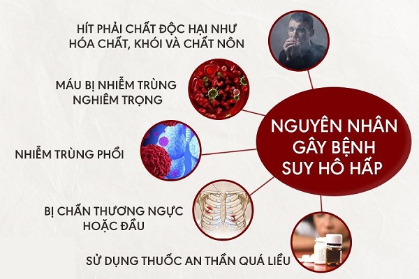 Ảnh: Phổi là nơi đầu tiên tiếp xúc và chịu tác động mạnh mẽ từ các tác nhân gây nhiễm trùng đường hô hấp.