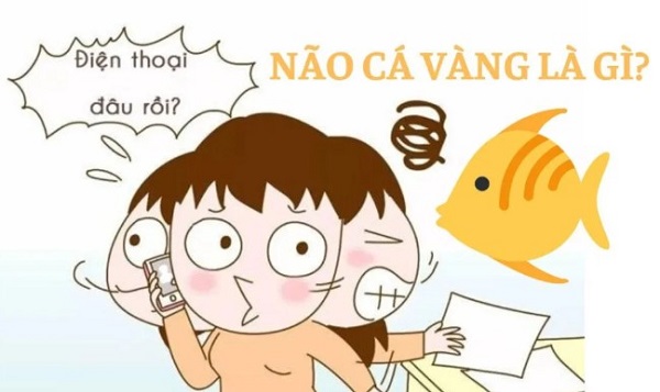 Hiện tượng não cá vàng ở người trẻ