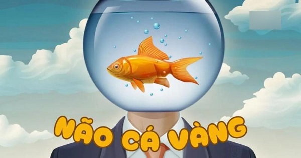 Biện pháp cải thiện trí nhớ cho người trẻ