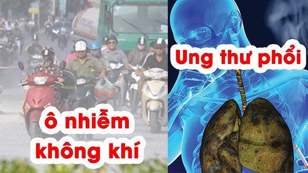 Dữ liệu và biểu đồ về bệnh phổi do ô nhiễm không khí