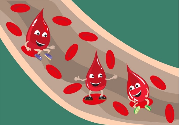 Sắt - khoáng chất quan trọng trong dinh dưỡng