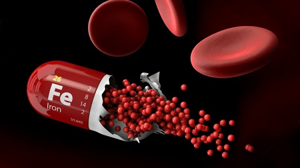 Thực phẩm giàu sắt