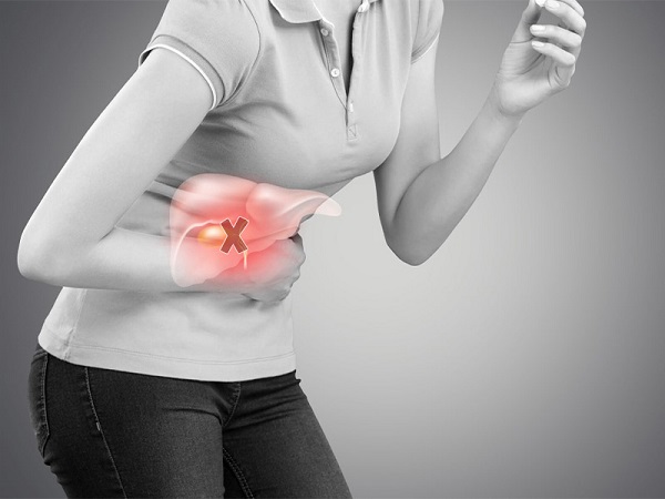 Ảnh các loại thảo dược hỗ trợ gan mật do THAPHACO sản xuất