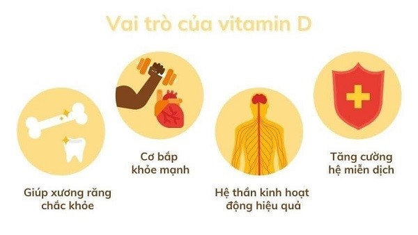 Vitamin D và hệ miễn dịch