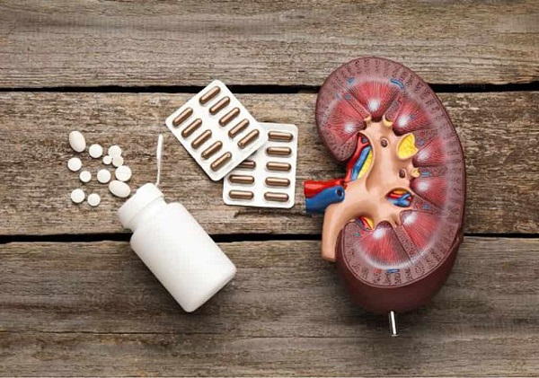 Bồi bổ thận và tinh hoàn từ thảo dược thiên nhiên