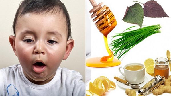 Bằng chứng khoa học về thảo mộc và sức khỏe phổi