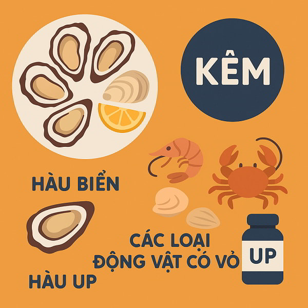 Phối hợp dinh dưỡng, luyện tập và thực phẩm bổ sung tốt cho sinh lý nam