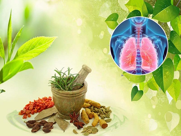 Chọn lựa địa chỉ bán thuốc nam đáng tin cậy cho phổi