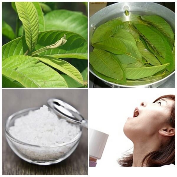 Thảo dược tự nhiên giúp chăm sóc răng miệng và trị hôi miệng hiệu quả