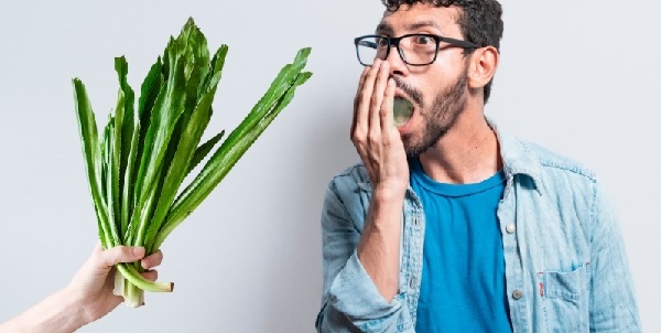 Cận cảnh dược liệu thiên nhiên tươi sạch dùng trong chăm sóc răng miệng