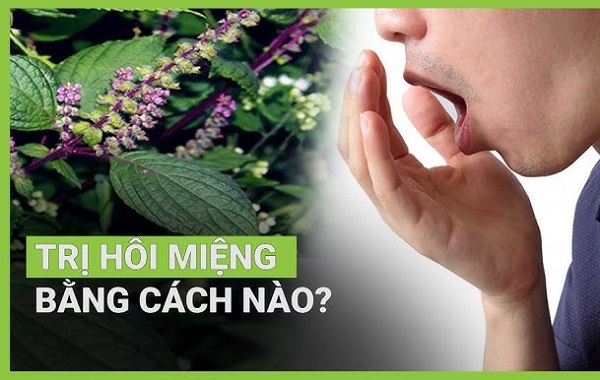 Cảnh báo nguy cơ khi tự ý sử dụng thuốc nam kém chất lượng trong trị hôi miệng