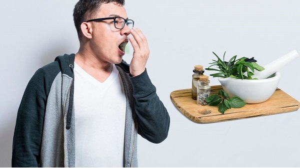 Hướng dẫn sử dụng thảo dược an toàn trong chăm sóc răng miệng