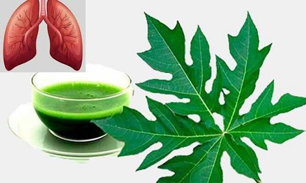 Cảnh báo về rủi ro khi lạm dụng thuốc nam trị bệnh phổi