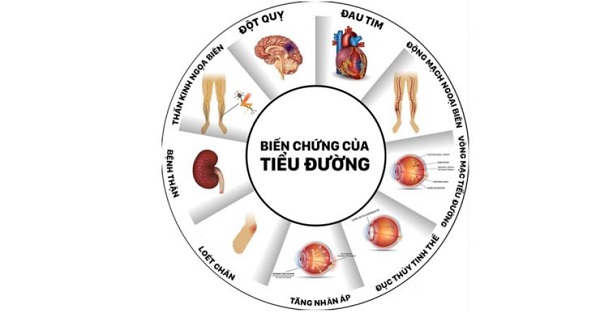 Nguy cơ tiểu đường ảnh hưởng đến cơ quan nội tạng