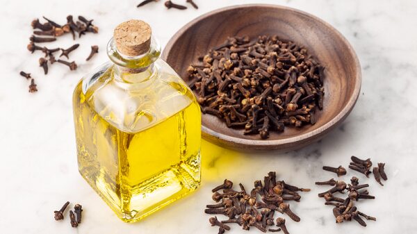 Trà thảo mộc chăm sóc sức khỏe răng miệng tự nhiên