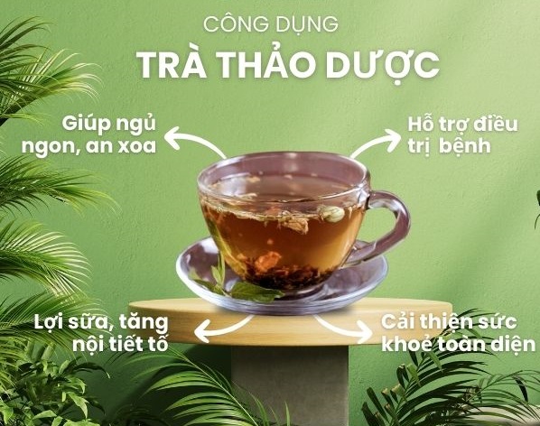 Trà thảo dược tự nhiên hỗ trợ bệnh sỏi mật
