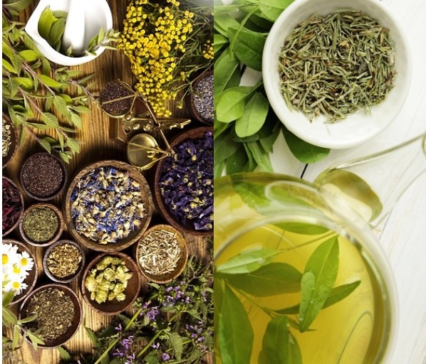 So sánh các loại trà thảo dược hỗ trợ bệnh sỏi mật