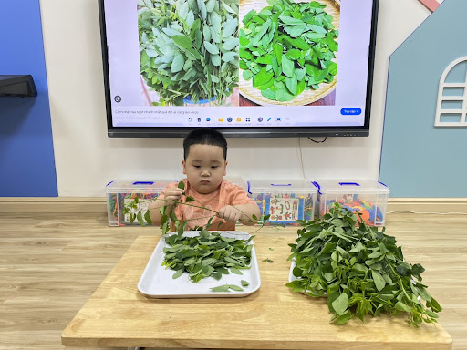 Trẻ thiếu vitamin A có nên ăn rau ngót không?