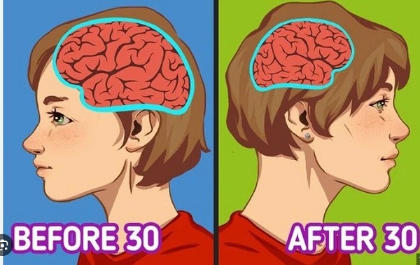 Lựa chọn sản phẩm hỗ trợ trí nhớ phải cẩn trọng, ưu tiên tự nhiên, nguồn gốc rõ ràng