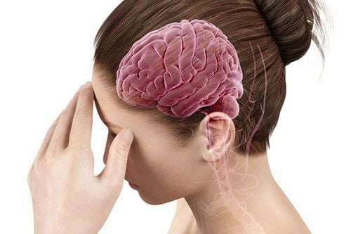 Giải pháp tự nhiên giúp bảo vệ trí nhớ theo từng giai đoạn tuổi tác