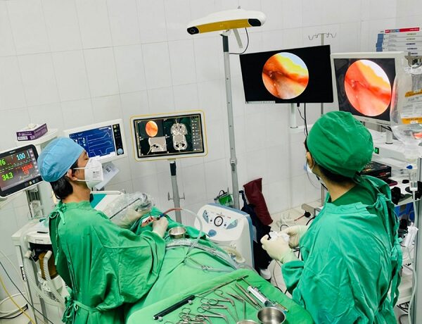 Trà thảo mộc hỗ trợ điều trị viêm họng hạt