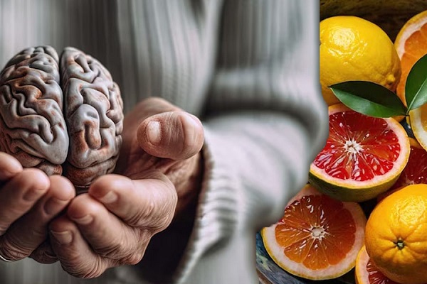 Vitamin và trí nhớ - Liên kết khó ngờ