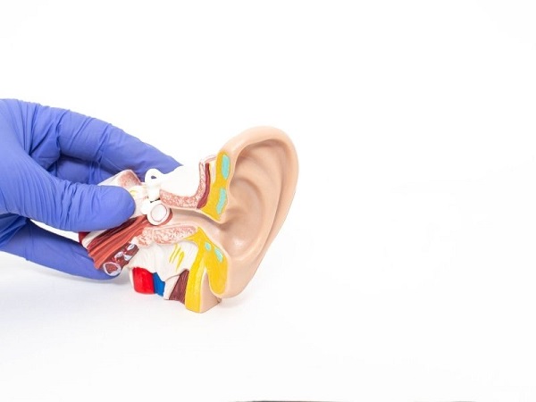 Ảnh minh họa phương pháp chuẩn đoán viêm tai giữa