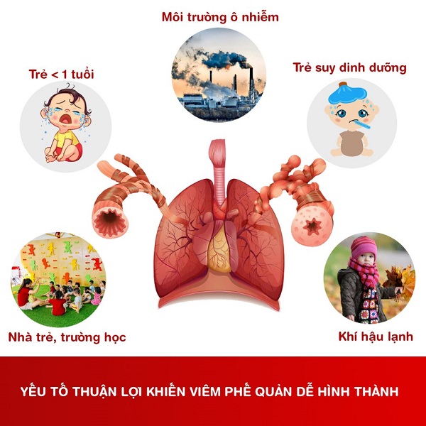 Môi trường ô nhiễm làm tăng nguy cơ viêm phế quản