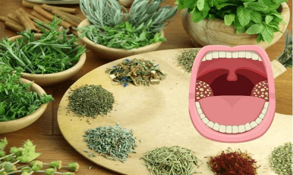 Hình ảnh các loại thảo dược dùng để điều trị viêm amidan