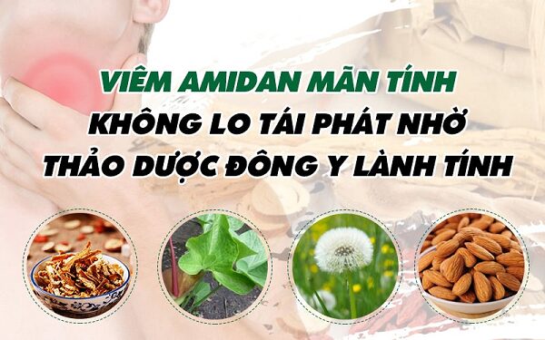 Các thành phần dược liệu hỗ trợ trị viêm amidan