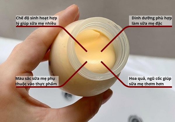 Chế độ dinh dưỡng lành mạnh giúp đảm bảo sữa mẹ giàu vitamin